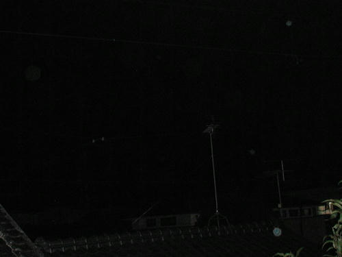 PB030007-3.JPG