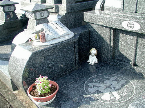 PB130034.JPG