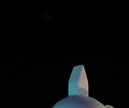 P2090059-c.JPG