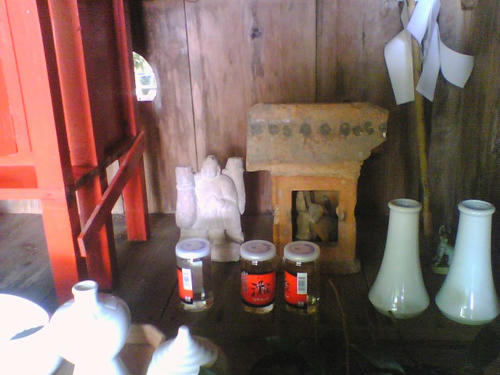 2008_1125_029.jpg
