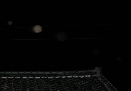 PB290008-3.jpg