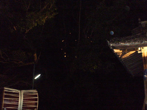 P1010089.JPG