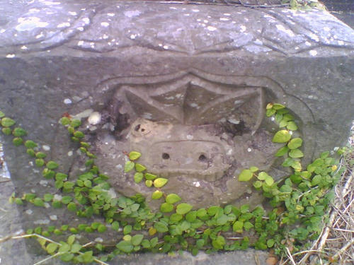 2009_0204_034.jpg