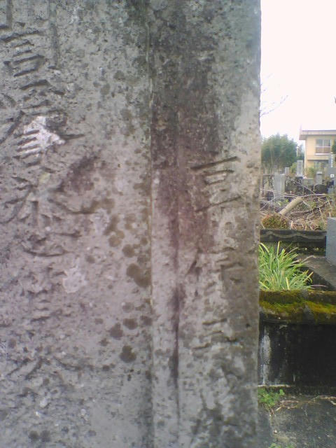 2009_0204_035.jpg
