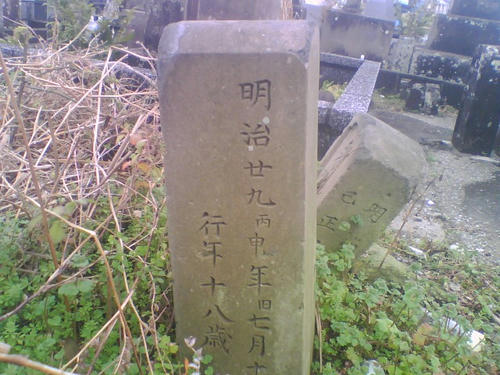 2009_0204_047.jpg
