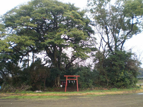 P2240086.JPG