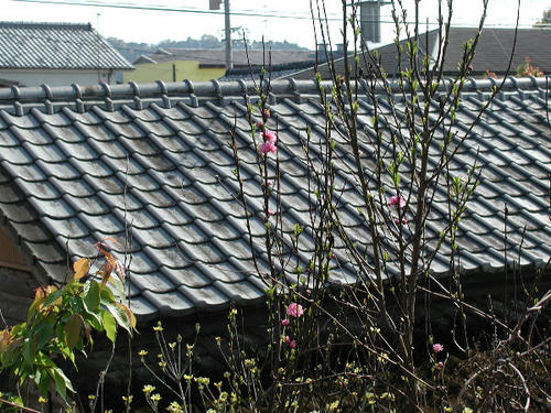 P4010003.JPG
