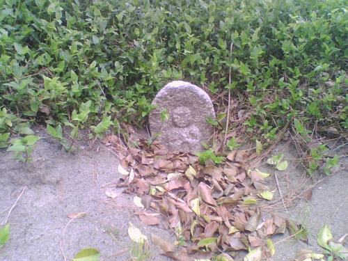 2009_0403_080.jpg