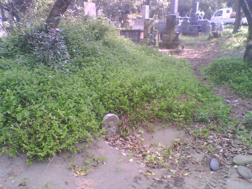 2009_0403_081.jpg
