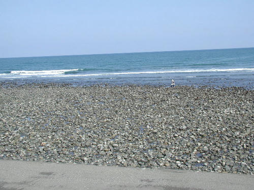 P5010023.JPG
