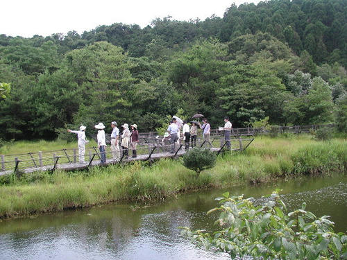 P7090054.JPG