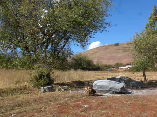 CIMG1457.JPG