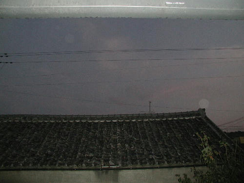 P1010005.JPG
