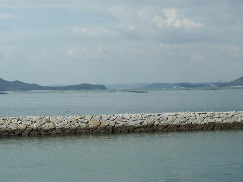 PA110003.JPG