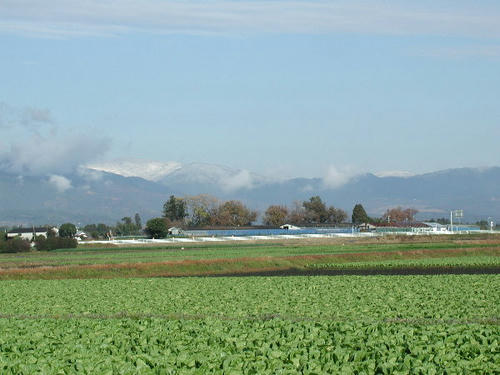 PC160001.JPG