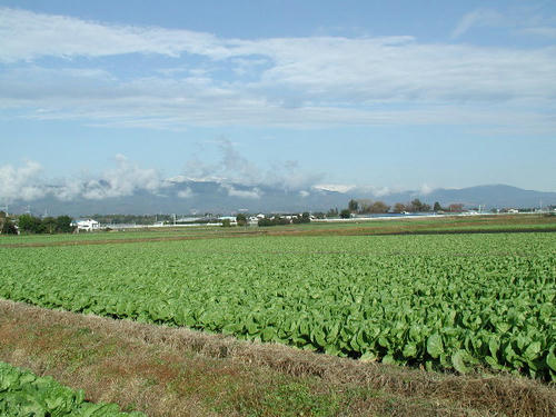 PC160003.JPG