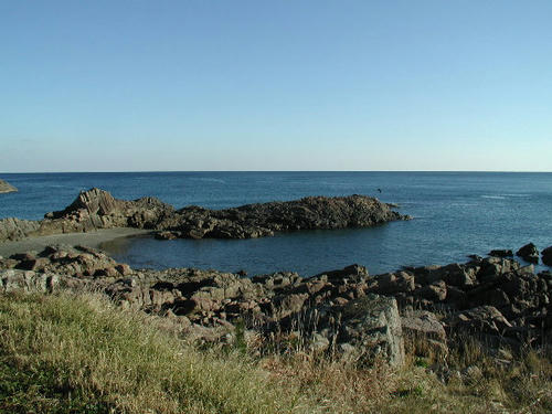 P1010017.JPG