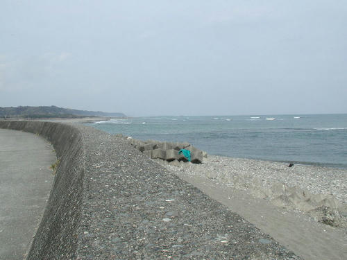 P2220017.JPG
