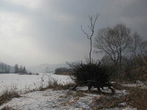 IMG_4050.JPG