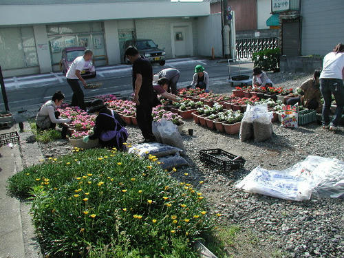 P5300004.JPG