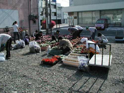P5300005.JPG
