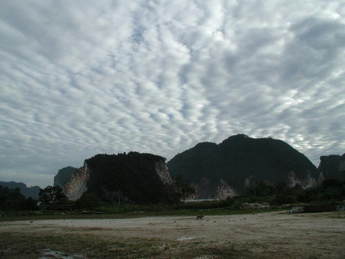 P7220001.JPG