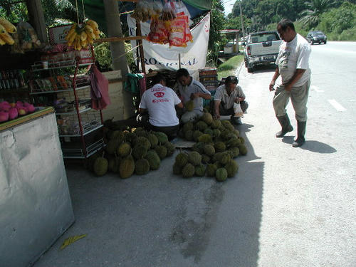 P7230002.JPG