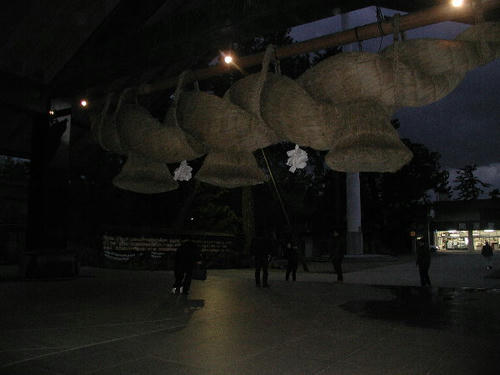 PC030039.JPG