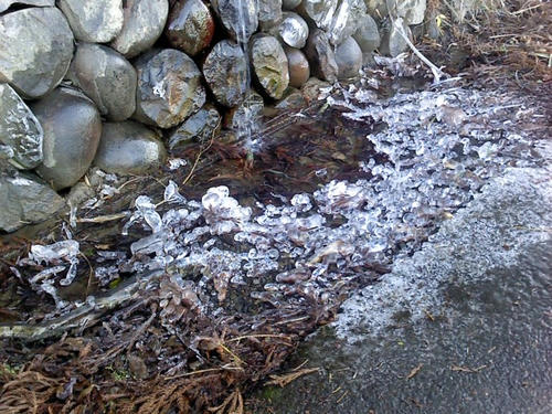 2011.1.17-5.JPG