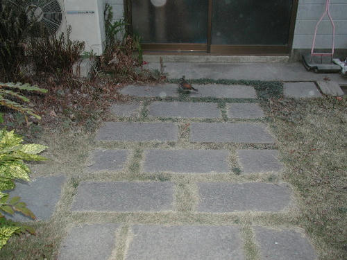 P1280002.JPG