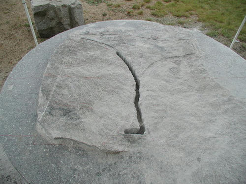 P8100005.JPG