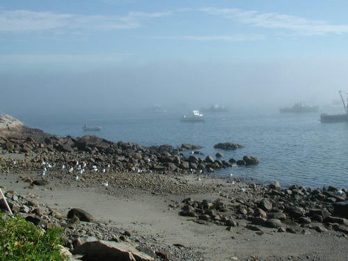 P8140001.JPG