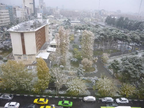 P1000379.JPG