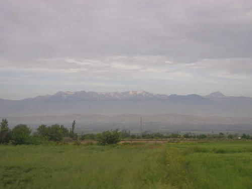 DSC00131.JPG