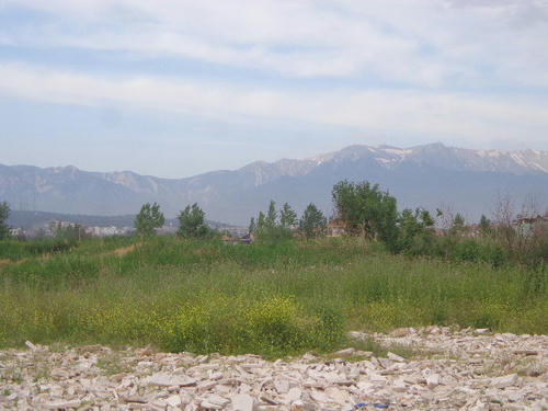DSC00133.JPG