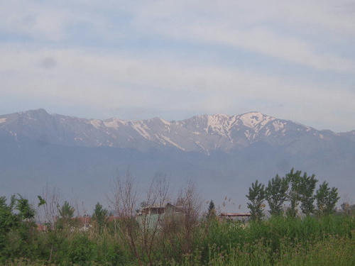 DSC00136.JPG