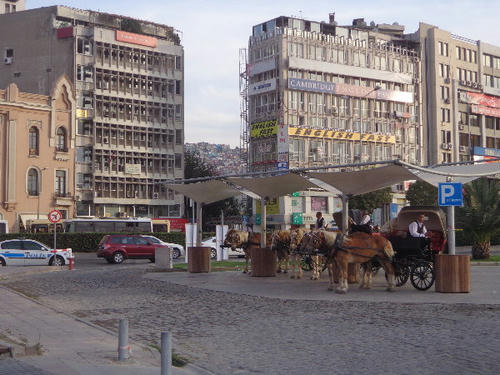 DSC01355.JPG