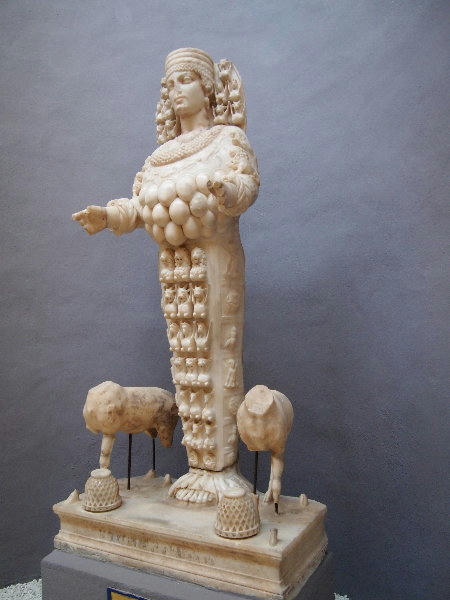 PA251559.JPG