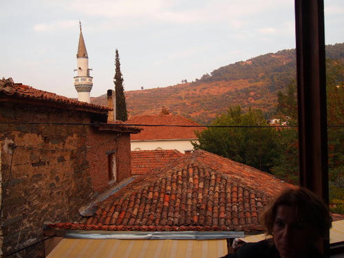 PA251583.JPG