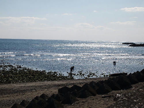 P1271728.JPG