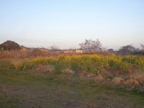 DSC01013.JPG