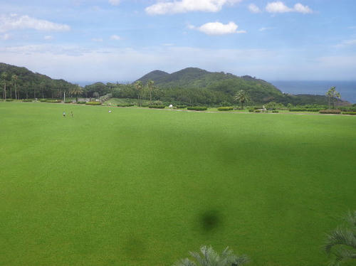 DSC02201.JPG