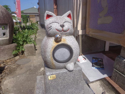 DSC02314.JPG