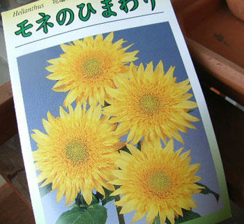himawari01.jpg