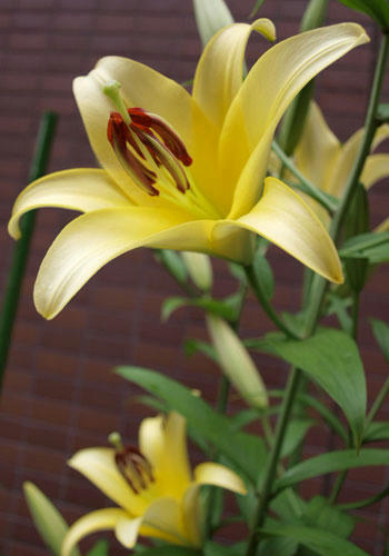 ee9861c4.jpg