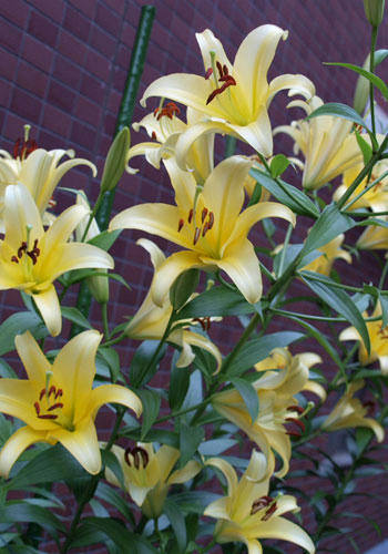 546fd475.jpg