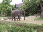 CA390166.jpg
