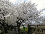 110416_132926.jpg