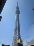 110910_125836.jpg