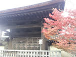 2011-11-26_15_06_30.jpg